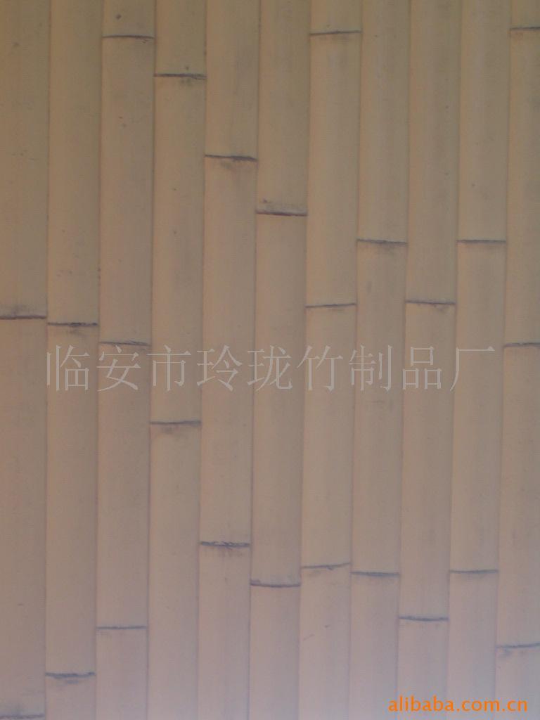 ǽ