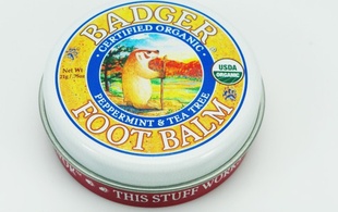 Badger⵽ŸѸ(Ѿ)21g˪