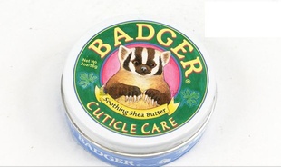 Badger/ָƯƯ21Gָ׻
