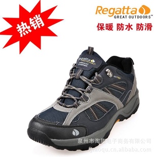 ֱӢregatta»ɽЬЬ