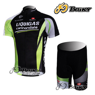 2011LIQUIGASзװ/г