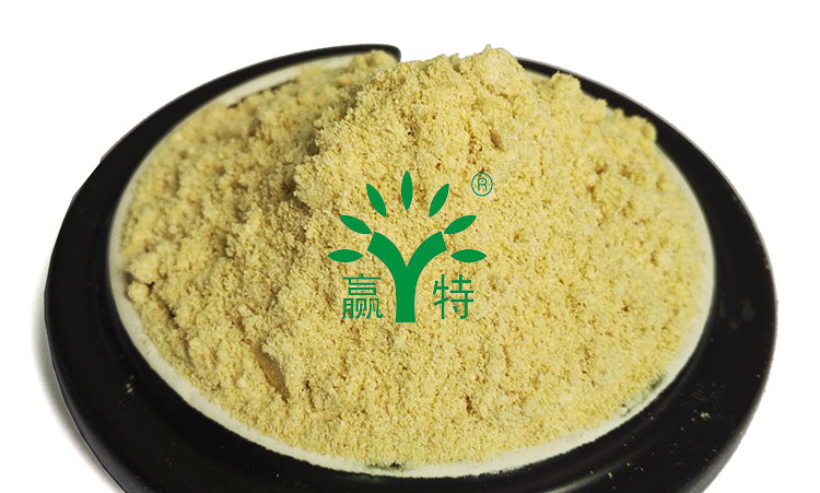 赢特 小麦胚芽粉膨化小麦胚芽粉 五谷杂粮粉 80-120目