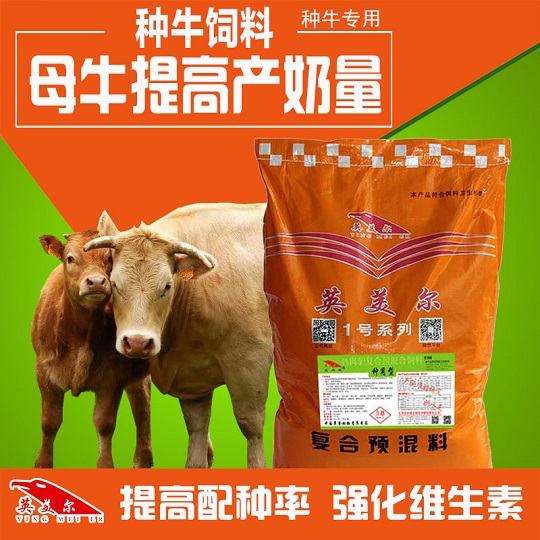 母牛饲料母牛饲料配方大全