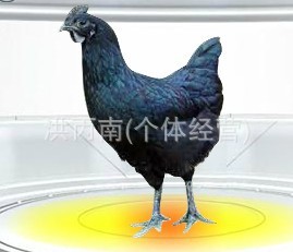 һ̼弦һּ̼糤겻ϻ
