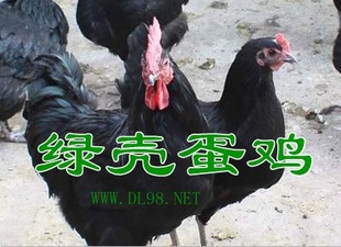 2013̿ǵ磬̿Ǽ[Ҽֱ]