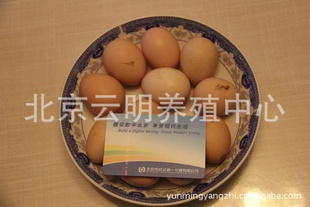 ֵֵ磬