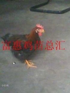 ںƤƽżغ켦