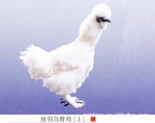 ëڹǼ˿5ڼ縣Ｆ