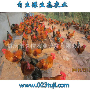 ֳ飬г,,,Ʒ