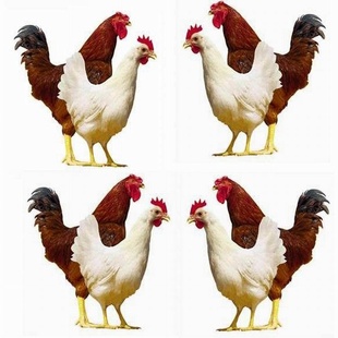 (кּ(ޣͣ