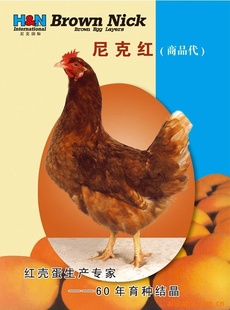 Ʒ˺졢ɺۣ