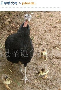 Ԥ綯