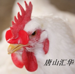 ۾;۾Ӧáɽ㻪۾