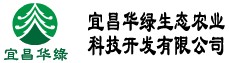 ̿Ǽ硢̿Ǽ۸񡢼ֳ̿ǵ