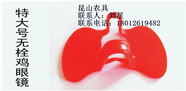 鸡眼镜鸡眼罩
