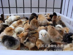 潡̬繫硢ĸ糧ֱ