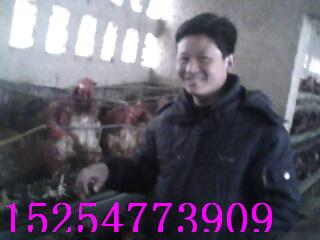 籿