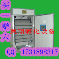 豸