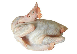 ֳƼƼ