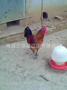 磬i磬磬