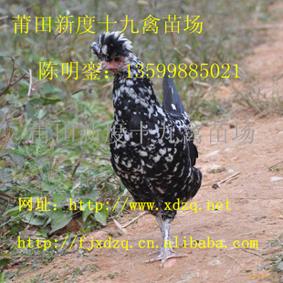 󼦣󼦣