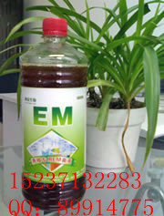 em