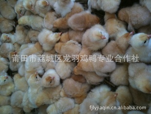 ͼ缦缦۸Ѽ