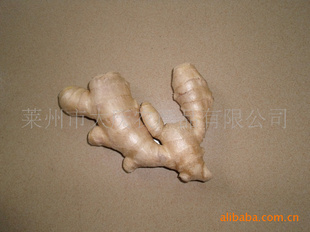 100G-300Gͷ۸Ż
