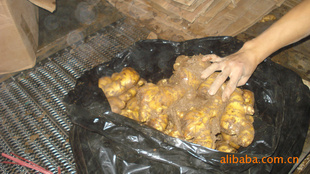 2011ʽУжǱ