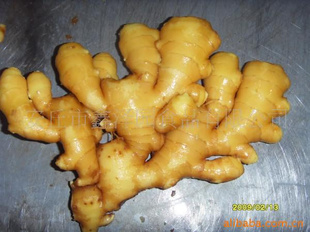 ʽڼʴ