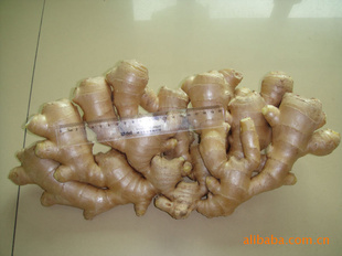 ʳƷ޹˾ڼʽ