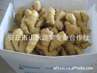ʴ󽪴潪