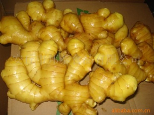 ,ձŷˣжȵ