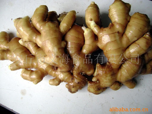 保鲜面姜freshGinger