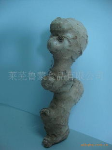 ʦ