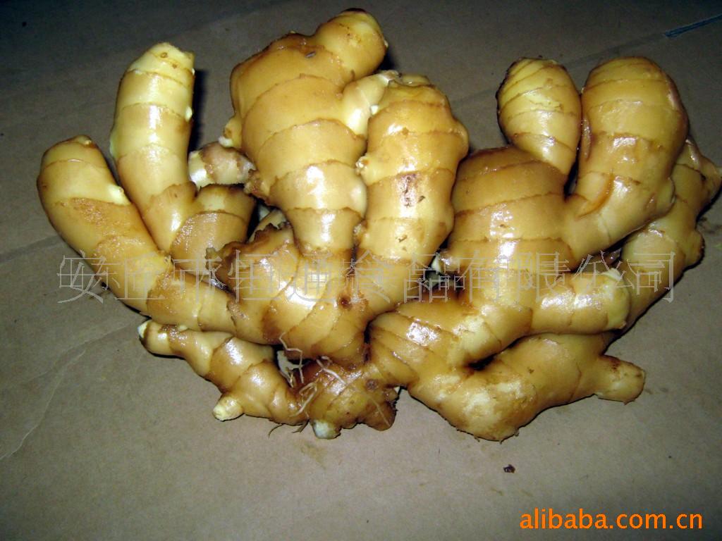 Ginger