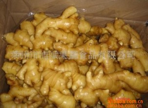 莱州旭斌出口中东100克保鲜姜,质量上乘。