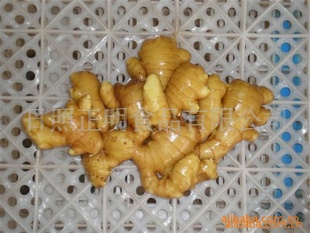ڵصıʺͷ(ͼ)