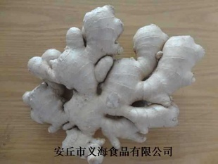 ӹɽںӢ