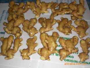 ǿ150