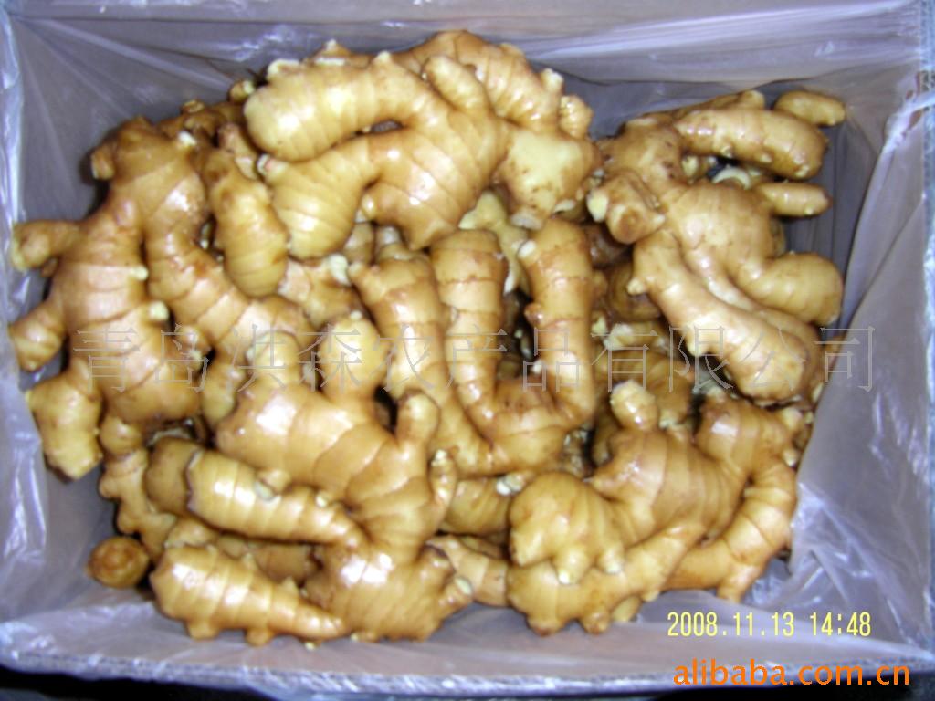 ʴginger