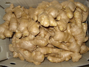 2013¼ŷ޷ɴ,潪