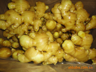ڼʽ޲
