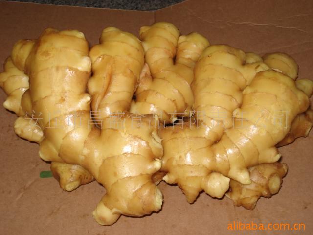 09гڼʽ1115ռӹ
