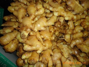 ڼӹжǱ