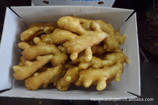 齪ʽ