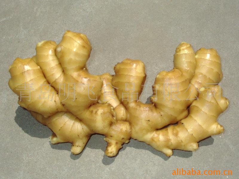 ڼôձ