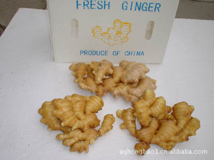ϰݱ150G
