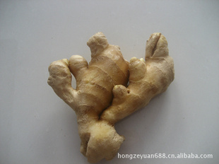 ڼʽ