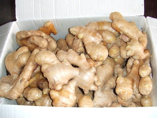ʽֱ100g150gȴ󽪹